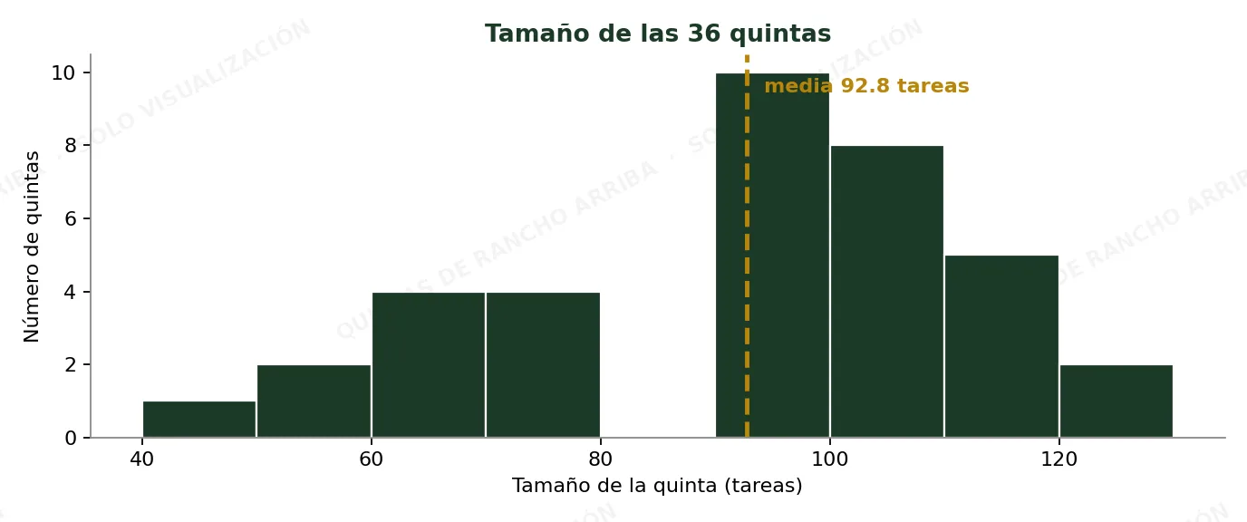 Tamaño de las quintas